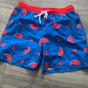 Blue Watermelon Print Swim Trunks
